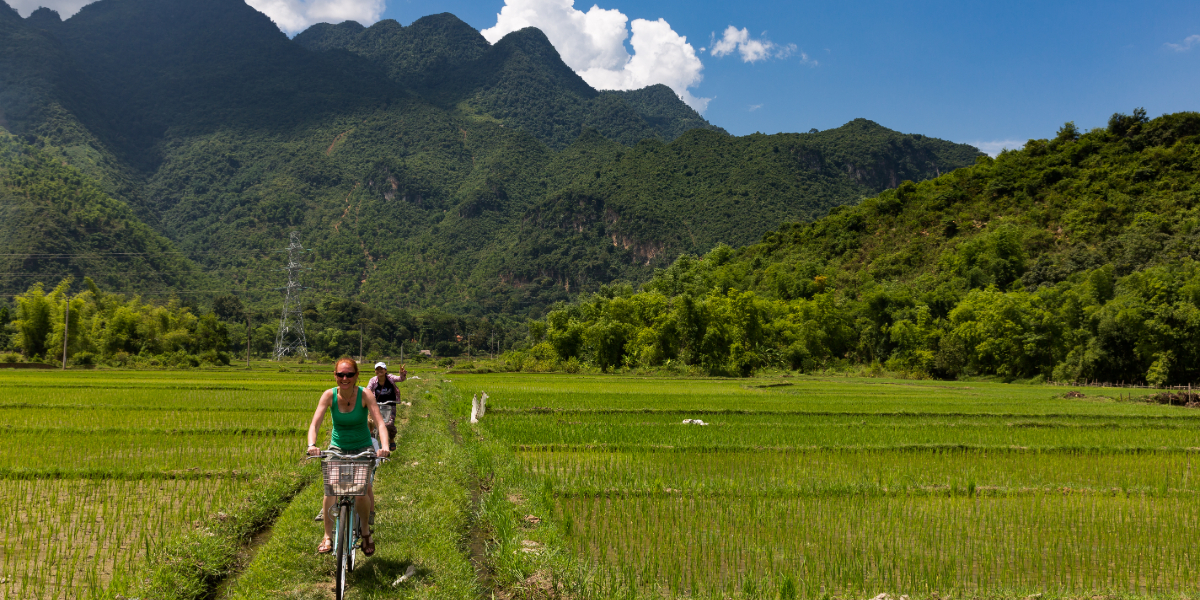 The Green culture circle of Ninh Binh - Hoa Binh